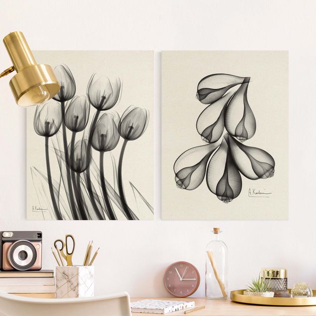 Tableau sur toile fleurs Rayons X - Tulipes et coquilles de figues