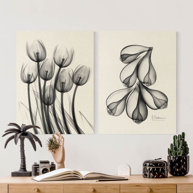 Tableaux noir et blanc Rayons X - Tulipes et coquilles de figues