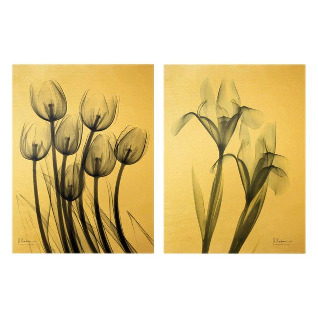 Tableaux muraux Rayons X - Tulipes et Iris