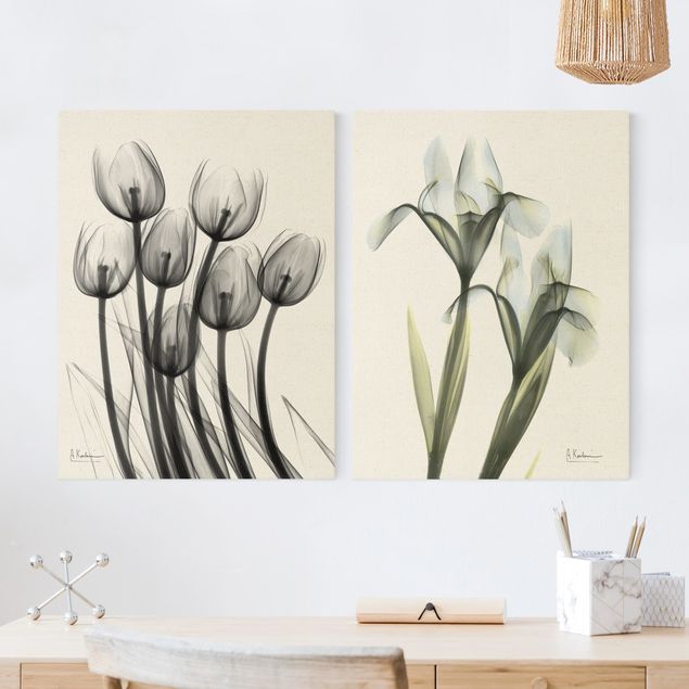 Tableaux moderne Rayons X - Tulipes et Iris