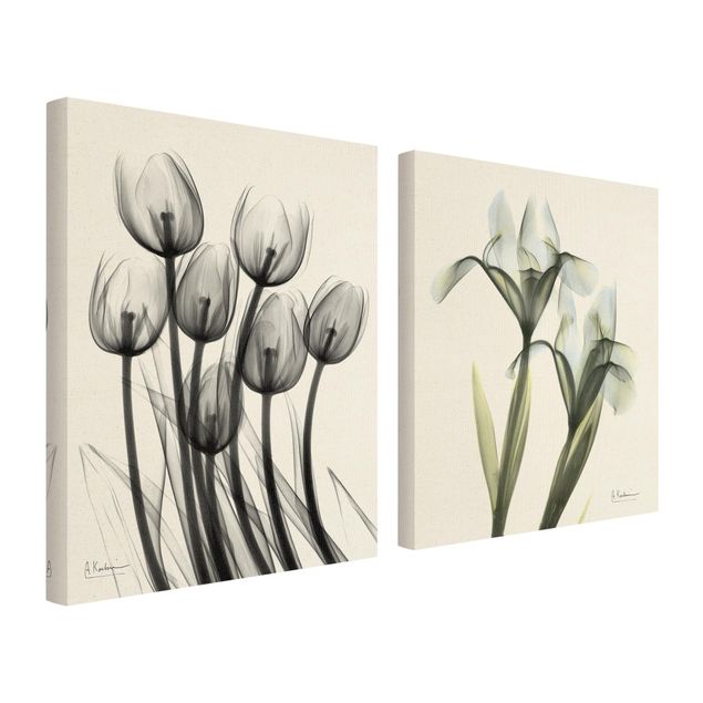 Toile murale Rayons X - Tulipes et Iris