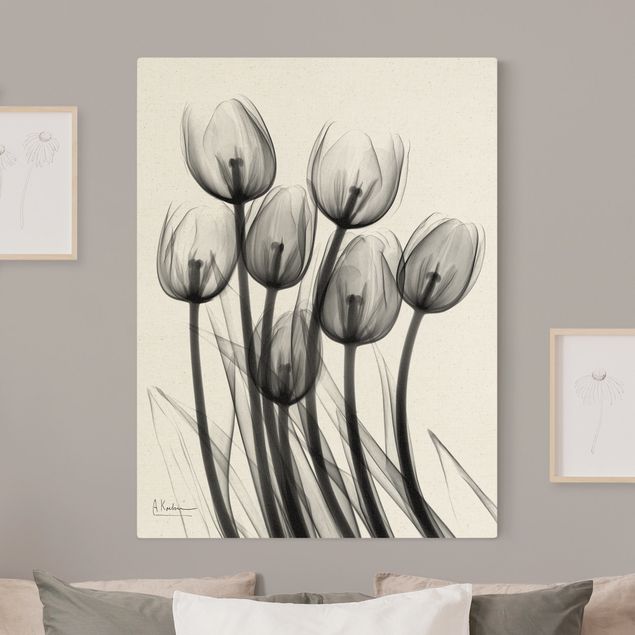 Tableaux sur toile en noir et blanc Rayons X - Tulipes