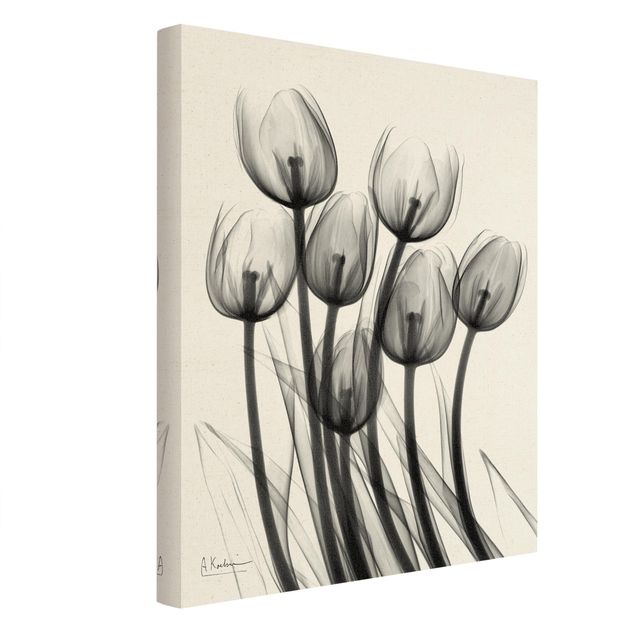 Impressions sur toile Rayons X - Tulipes