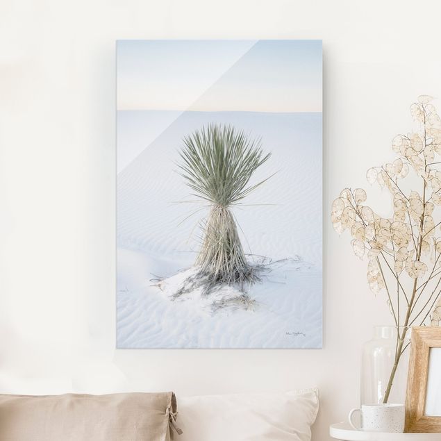 Tableaux en verre dunes Yucca palm in white sand