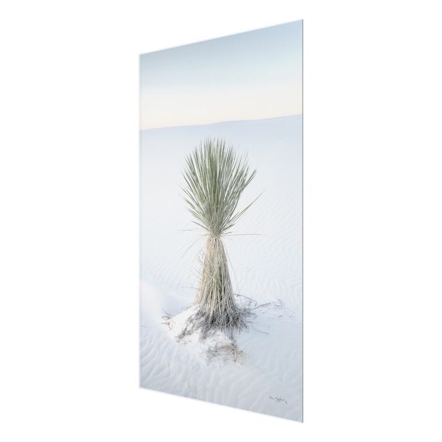Tableau ton bleu Yucca palm in white sand