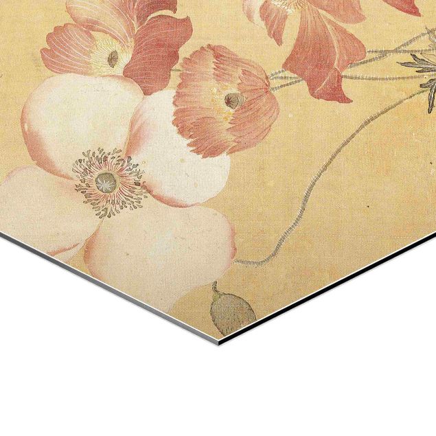 Impression dibond Yun Shouping - Poppy Flower