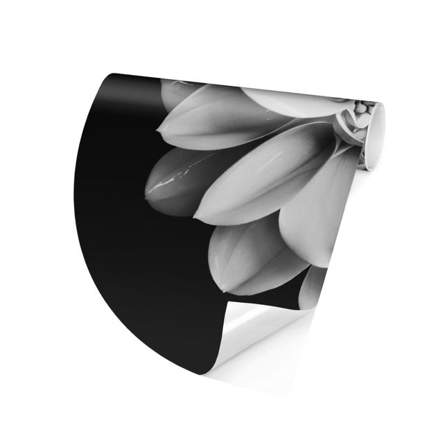 Papier peint fleurs Dahlia délicat en noir et blanc