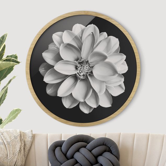Tableaux encadrés fleurs Dahlia délicat en noir et blanc