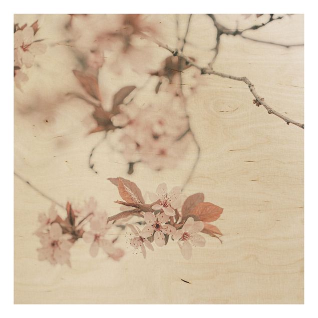 Tableaux en bois avec fleurs Délicates fleurs de cerisier sur une brindille