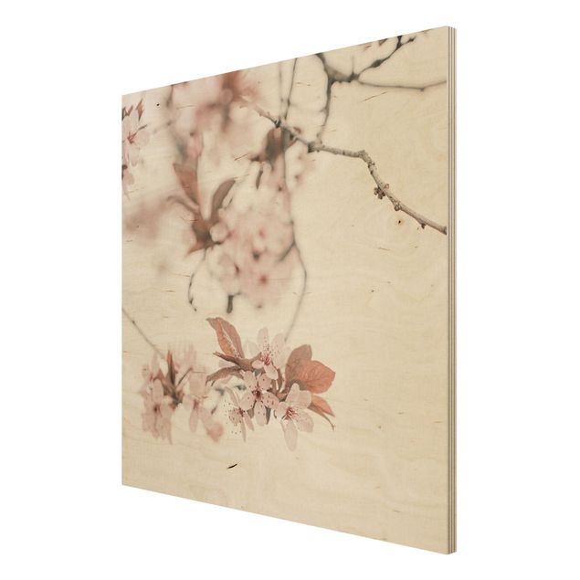 Tableau décoration Délicates fleurs de cerisier sur une brindille
