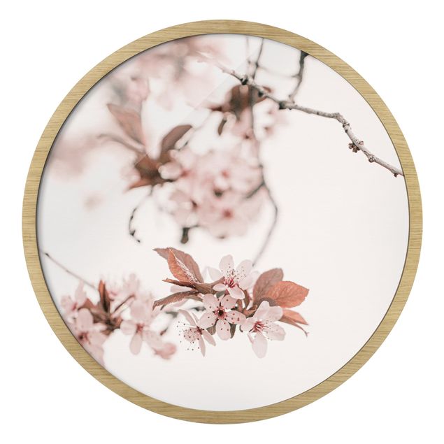 Tableaux rose Délicates fleurs de cerisier sur une brindille