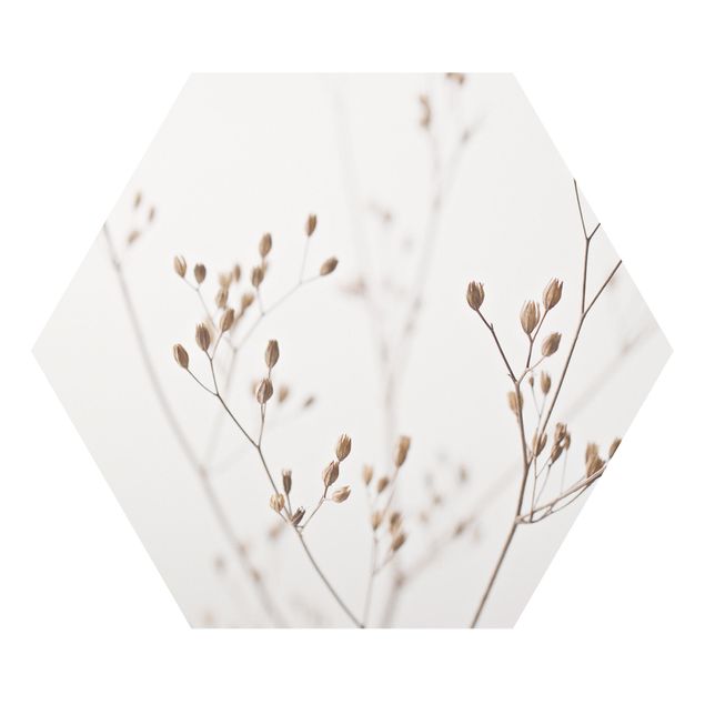 Tableaux forex Gemmes délicates sur tige de fleurs blanches