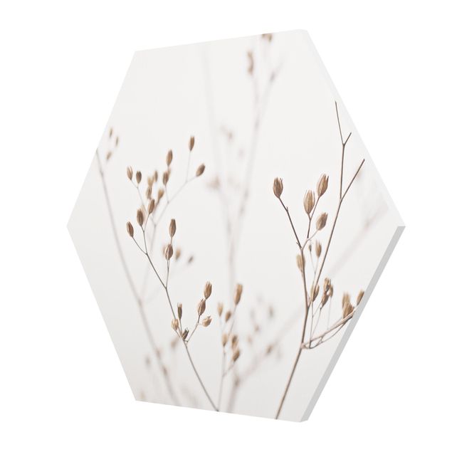 Tableau décoration Gemmes délicates sur tige de fleurs blanches