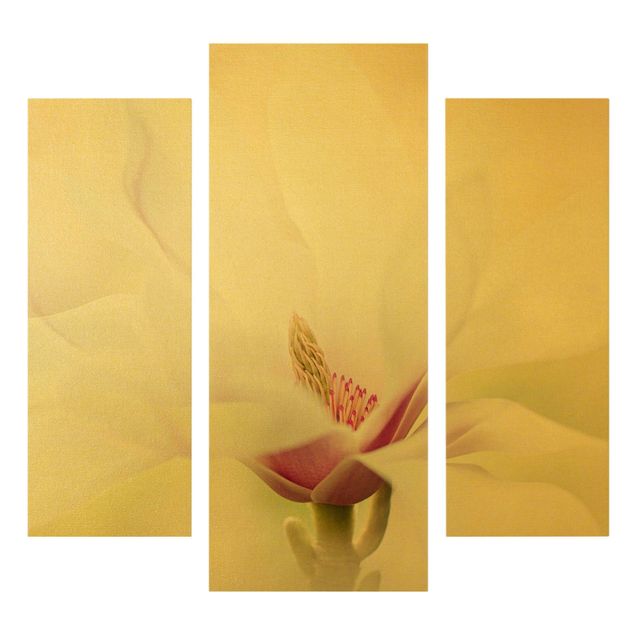 Tableaux toile Délicate fleur de magnolia