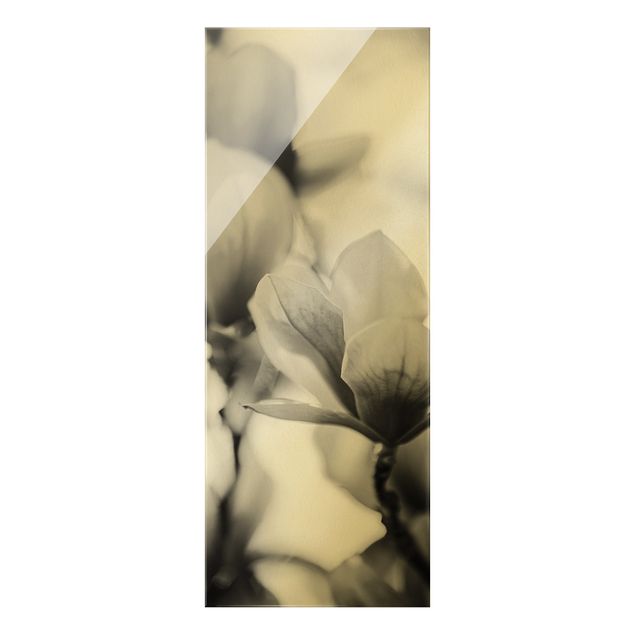 Tableaux noir et blanc Fleurs de magnolia délicates II
