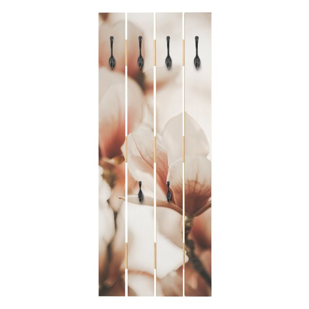 Porte manteaux muraux Délicates fleurs de magnolia dans un jeu d'ombres et de lumières