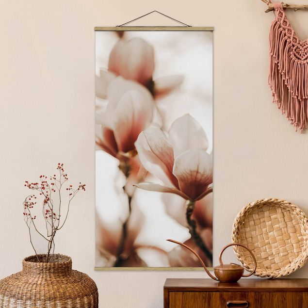 Déco mur cuisine Délicates fleurs de magnolia dans un jeu d'ombres et de lumières