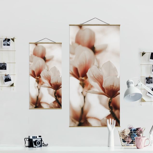 Tableaux muraux Délicates fleurs de magnolia dans un jeu d'ombres et de lumières