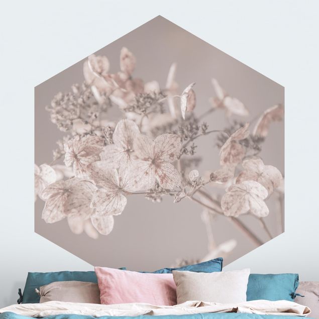 Papier peint moderne Delicate White Hydrangea