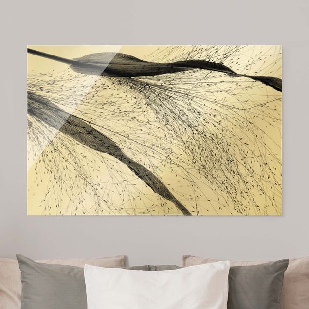 Tableaux en verre fleurs Delicate Reed With Small Buds Black And White