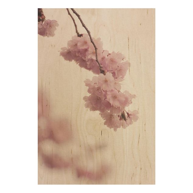 Tableaux en bois avec fleurs Fleur de printemps rose pâle avec bokeh