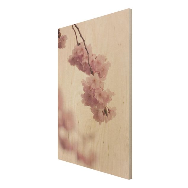 Tableaux muraux Fleur de printemps rose pâle avec bokeh