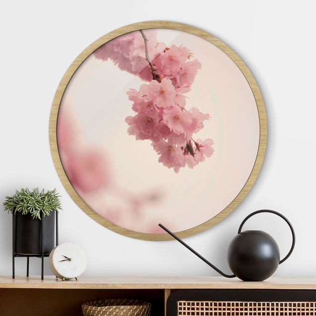 Tableaux encadrés fleurs Fleur de printemps rose pâle avec bokeh