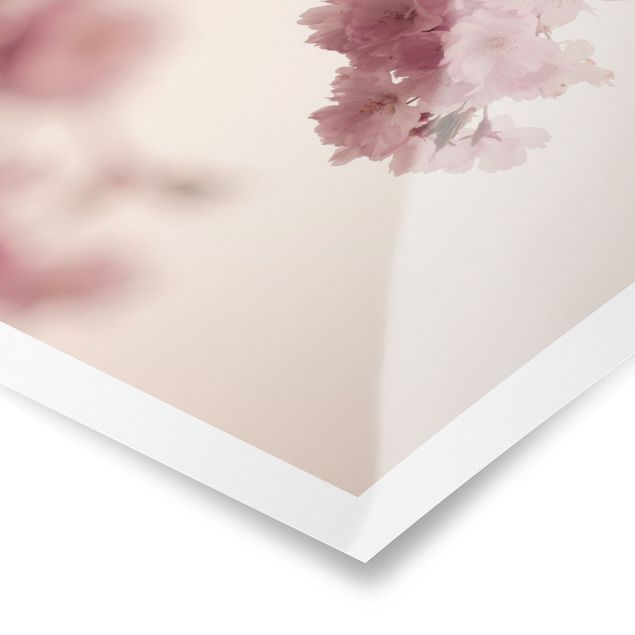Tableaux Fleur de printemps rose pâle avec bokeh