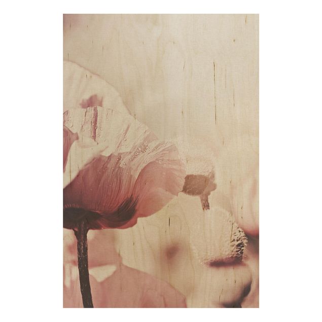Tableaux en bois avec fleurs Fleur de coquelicot rose pâle avec gouttes d'eau