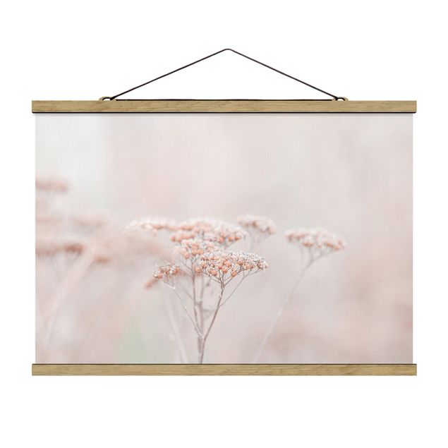 Tableau amour Pale Pink Wild Flowers