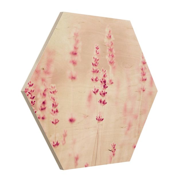 tableaux floraux Lavande rose pâle