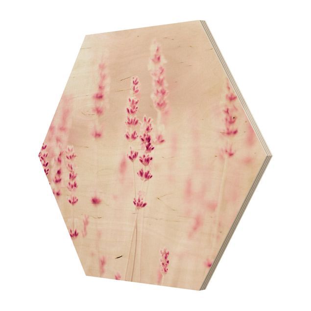 Tableaux muraux Lavande rose pâle
