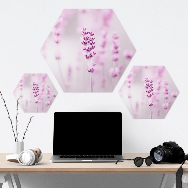Hexagone en forex - Pale Purple Lavender
