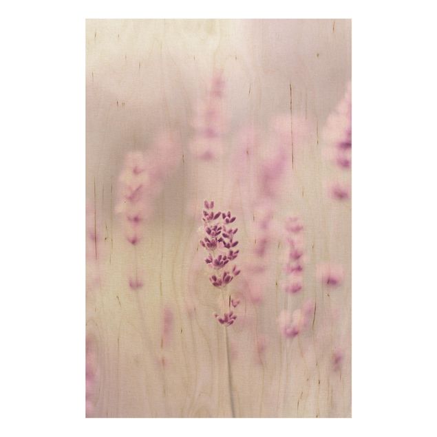 Tableaux en bois avec fleurs Lavande rose pâle