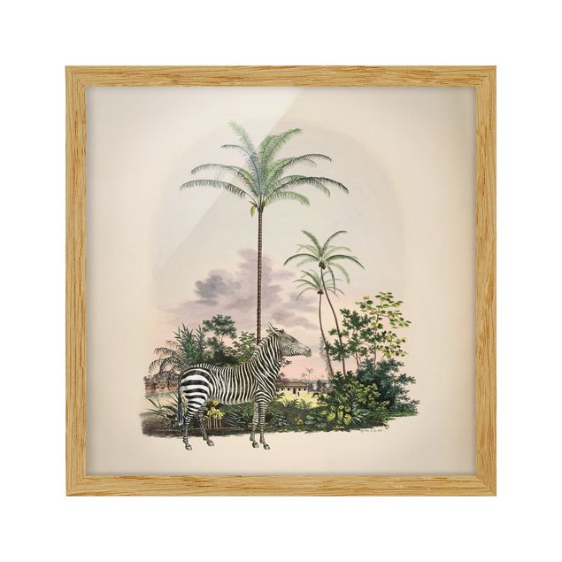 Tableaux encadrés vintage Illustration de Zèbre Devant Des Palmiers