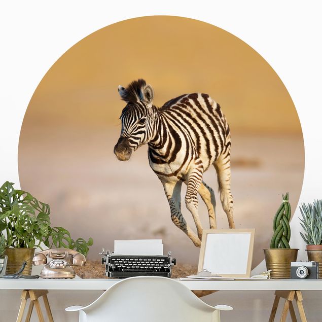 Papier peint rond autocollant - Zebra Foal