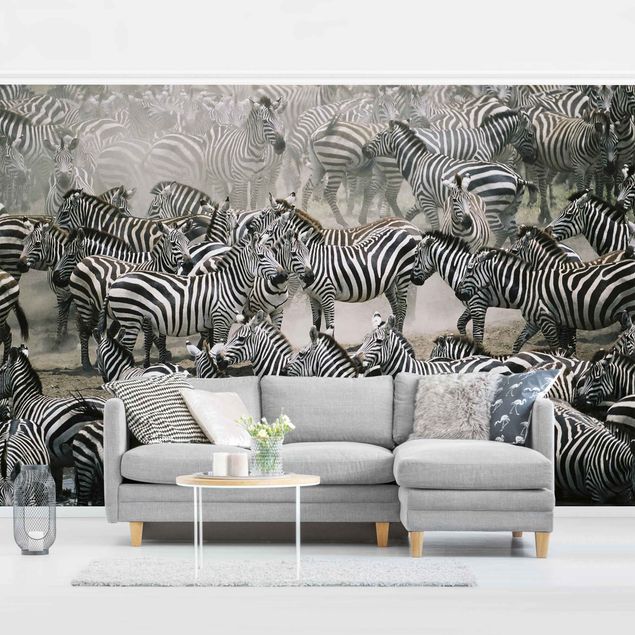 Papier peint - Zebra Herd