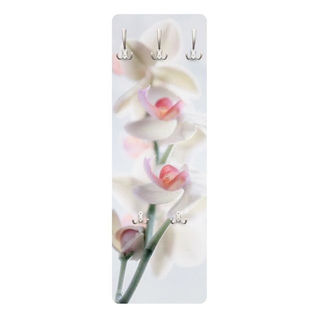 Porte-manteau - Delicate Orchid