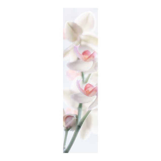 Panneaux coulissants avec fleurs Orchidée délicate