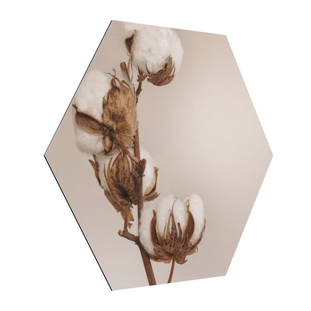 Tableau floral Brindille de Coton Fragile