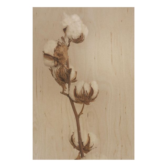 Tableaux en bois avec fleurs Brindille de Coton Fragile