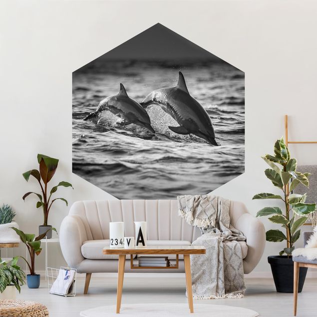 Papier peint panoramique noir et blanc Deux dauphins qui sautent