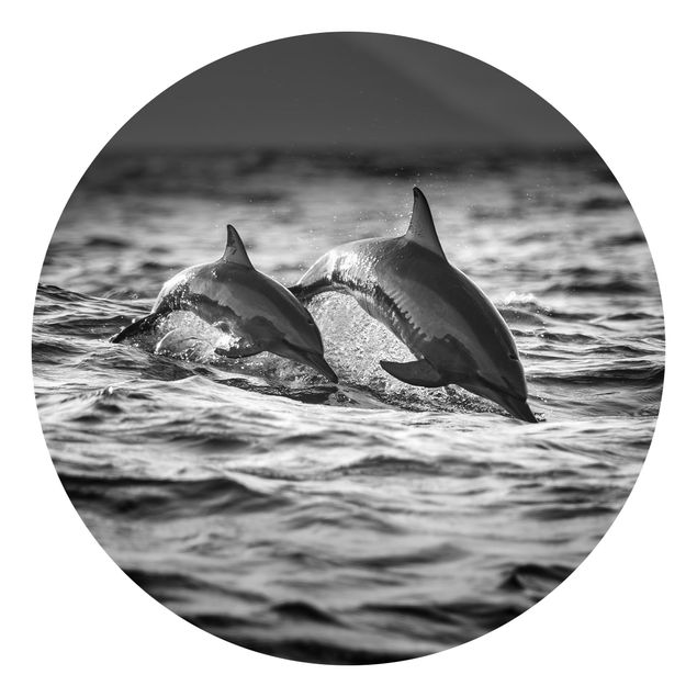Papier peint noir et blanc Deux dauphins qui sautent
