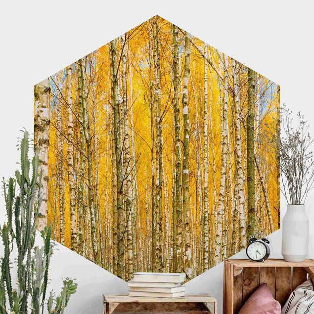 Déco murale cuisine Between Yellow Birch Trees