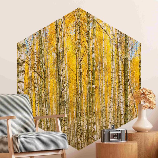 Papiers peints modernes Between Yellow Birch Trees
