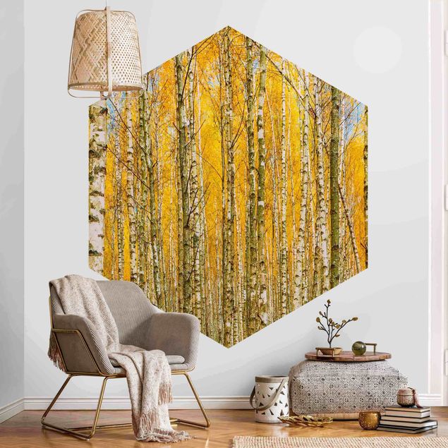 Papier peint panoramique paysage Between Yellow Birch Trees