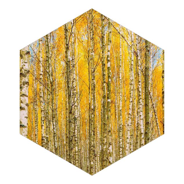 tapisserie panoramique Between Yellow Birch Trees